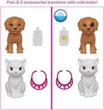 Load image into Gallery viewer, Barbie Color Reveal Doll Set with 25 Surprises Including 2 Pets &amp; Day-to-Night Transformation: 15 Mystery Bags Contain Doll Clothes &amp; Accessories for 2 Looks; Water Reveals Look of Metallic Doll - sctoyswholesale
