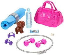 Load image into Gallery viewer, Barbie Fitness Doll - sctoyswholesale
