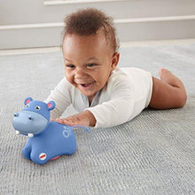 Load image into Gallery viewer, Fisher-Price Roller Hippo - sctoyswholesale
